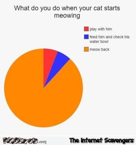 What do you do when your cat starts meowing funny graph @PMSLweb.com
