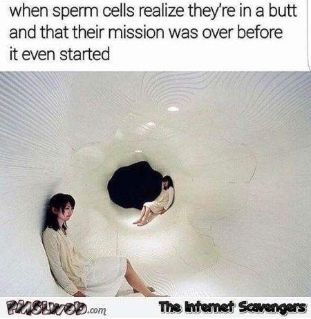 When sperm realizes it's in a butt funny meme @PMSLweb.com