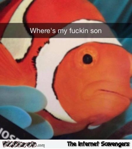 Where's my son funny clown fish meme @PMSLweb.com
