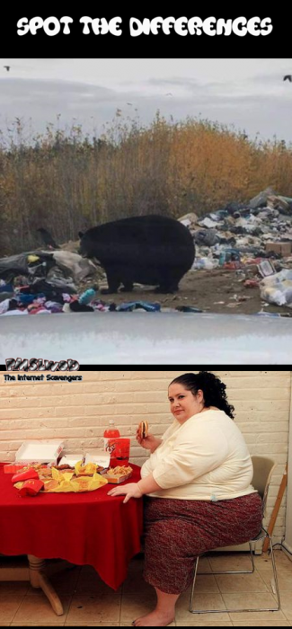 You are what you eat bear versus woman humor