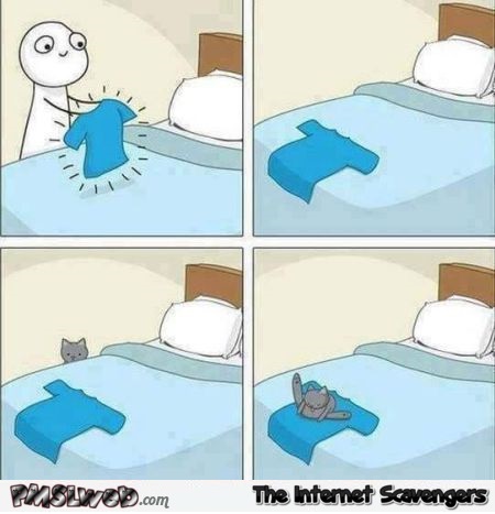 Cat logic on the bed funny cartoon