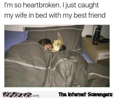 I just caught my wife in bed with my best friend meme - Chucklesome Friday pictures @PMSLweb.com