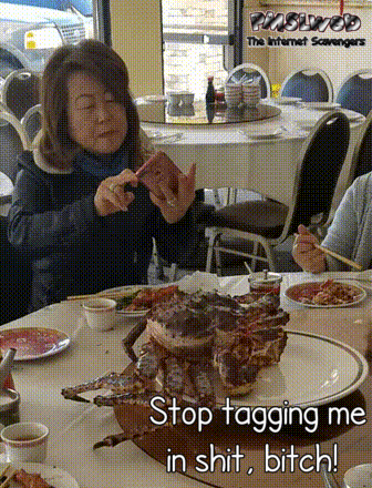 Stop tagging me in shit funny crab gif @PMSLweb.com
