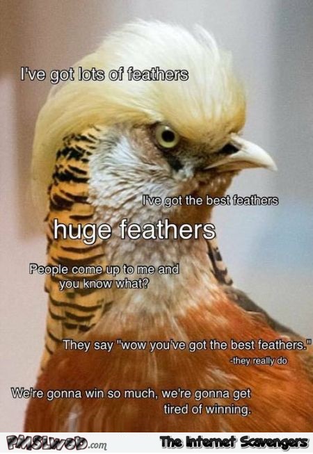 Funny bird look like Trump @PMSLweb.com