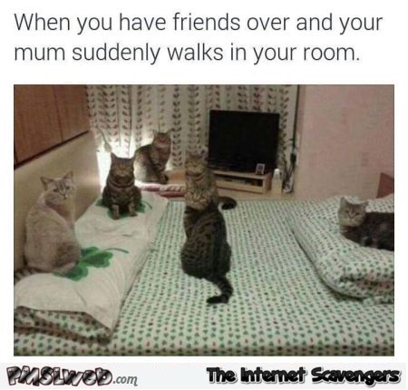 When you have friends over and your mum walks in the room funny meme @PMSLweb.com
