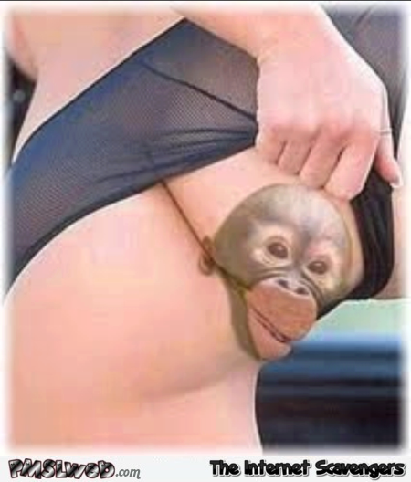 Funny naughty monkey tattoo @PMSLweb.com