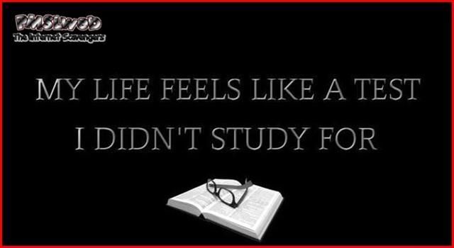 My life feels like a test I didn't study for - Funny Sunday pics and memes @PMSLweb.com