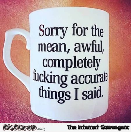 Sorry for the mean things I said funny sarcastic mug @PMSLweb.com