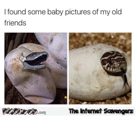  I found baby pictures of my old friends funny meme @PMSLweb.com