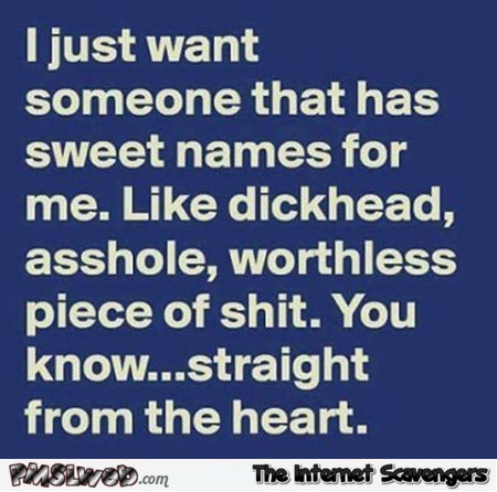 I just want someone that has sweet names for me sarcastic humor @PMSLweb.com