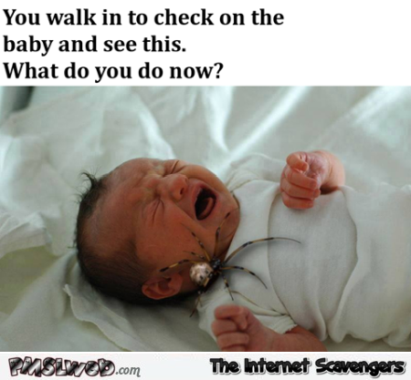 You walk in to check on baby and see this what do you do meme @PMSLweb.com