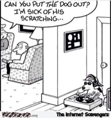 I'm sick of the dog's scratching funny cartoon @PMSLweb.com