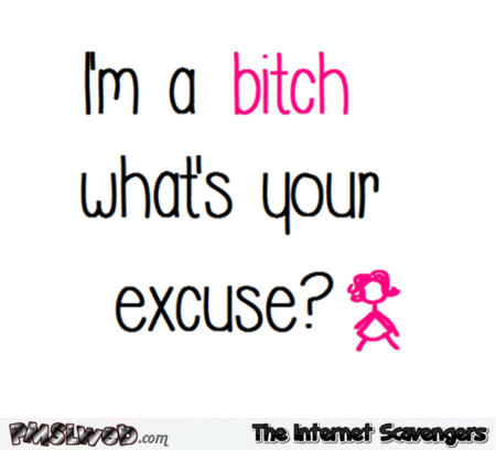 I'm a bitch what's your excuse? Sarcastic humor @PMSLweb.com
