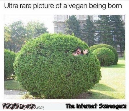 Rare picture of a vegan being born funny meme @PMSLweb.com