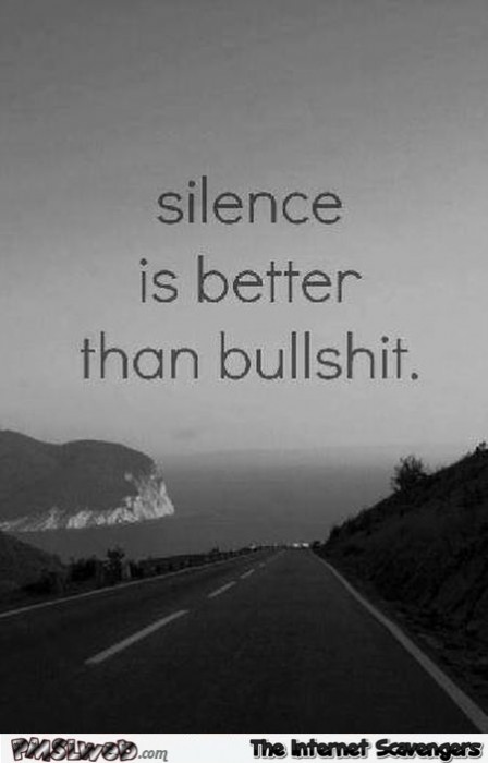 Silence is better than bullshit sarcastic quote