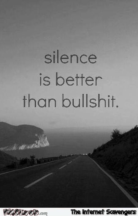 Silence is better than bullshit sarcastic quote - Silly memes and pictures @PMSLweb.com