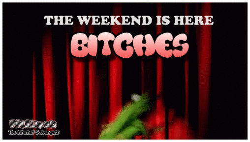 The weekend is here bitches gif - Funny weekend memes collection @PMSLweb.com