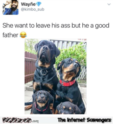She wants to leave him but he's a good father funny dog meme @PMSLweb.com
