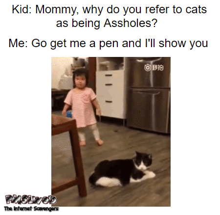 Asshole cat trips over little girl funny gif @PMSLweb.com