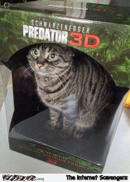 Funny predator 3D cat @PMSLweb.com