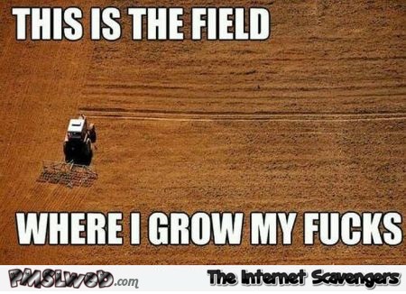 This is the field where I grow my fucks sarcastic meme - Hilarious sarcastic memes @PMSLweb.com