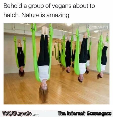 Vegans about to hatch funny meme - Amusing picture collection @PMSLweb.com