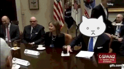 Trump is business cat funny gif @PMSLweb.com