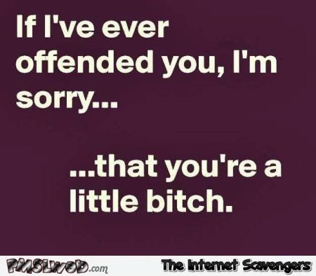 If ever you're offended I'm sorry sarcastic humor