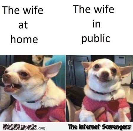 The wife at home versus in public funny meme @PMSLweb.com