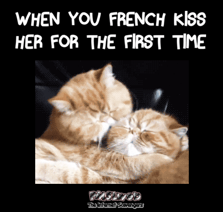 When you French Kiss her for the first time funny cat gif @PMSLweb.com