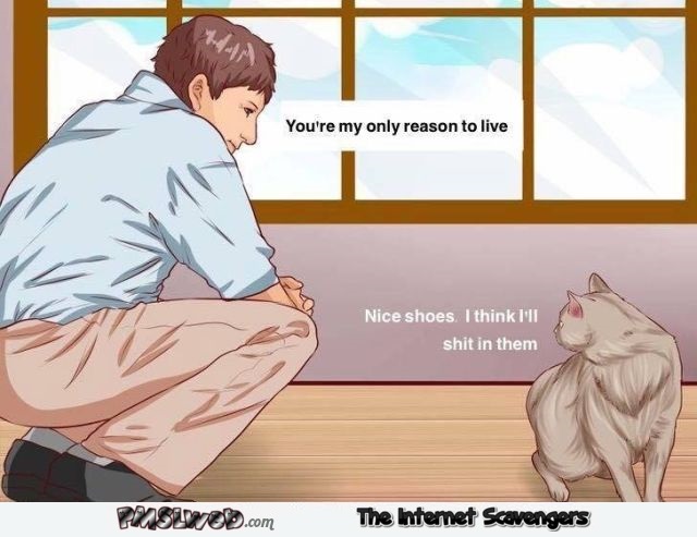 If you could understand your cat funny cartoon @PMSLweb.com