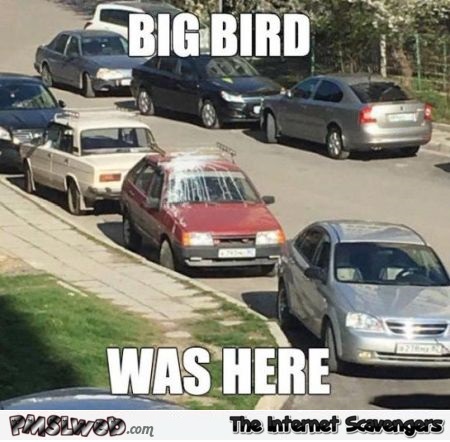Big bird was here funny meme @PMSLweb.com
