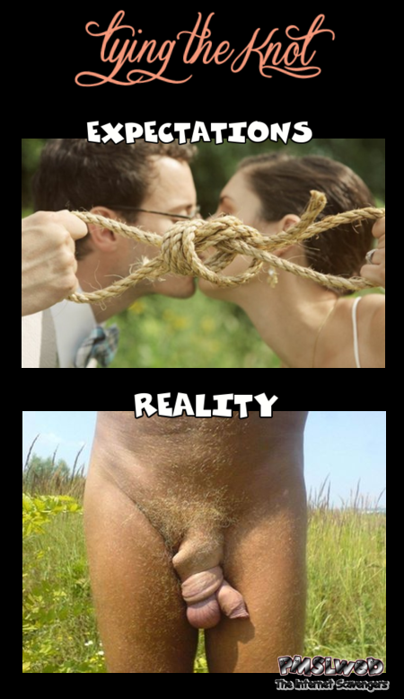 Tying the knot expectations versus reality adult humor @PMSLweb.com