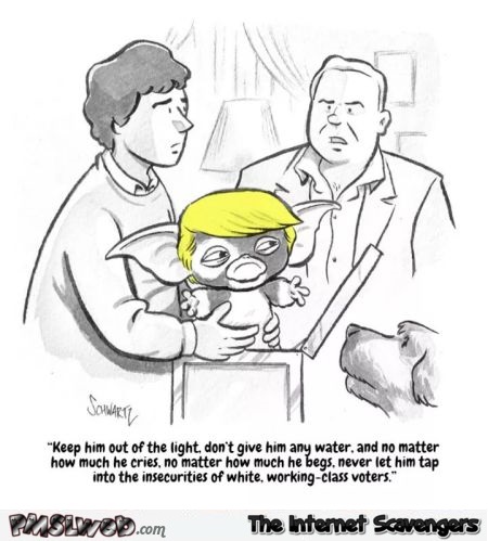 Trump is a gremlin funny cartoon - Wacky Sunday guffaws @PMSLweb.com
