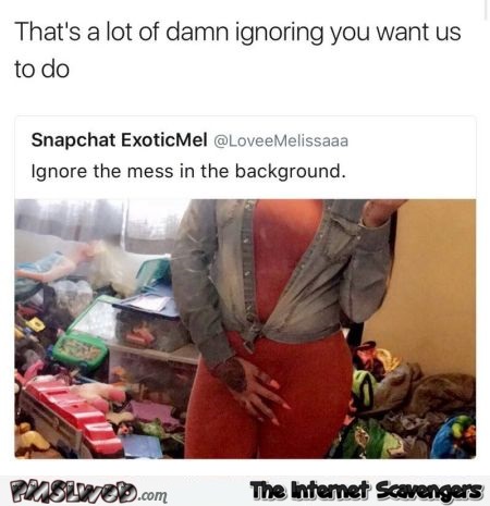 Please ignore the mess in the background funny meme @PMSLweb.com