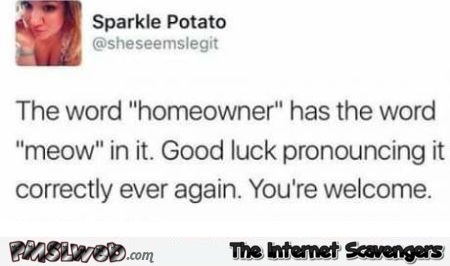 The word homeowner has meow in it funny tweet @PMSLweb.com
