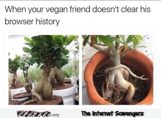 When your vegan friend doesn't clear his browser history funny meme @PMSLweb.com
