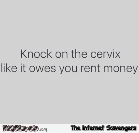 Knock on the cervix like it owes you rent money adult humor @PMSLweb.com