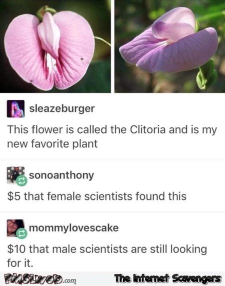 Clitoria flower humor @PMSLweb.com