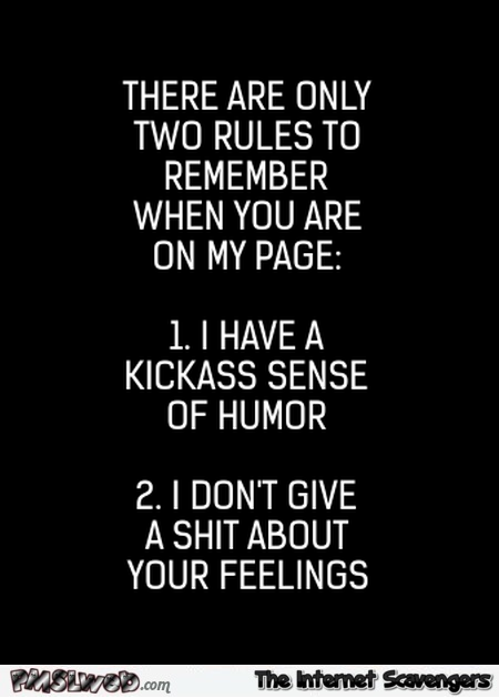 Two rules to remember about my page sarcastic humor @PMSLweb.com