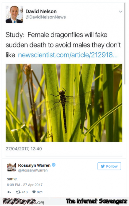 Funny female dragonflies tweet