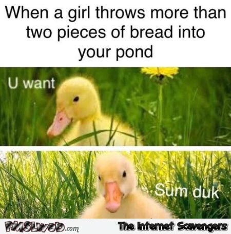 You want some duck funny meme