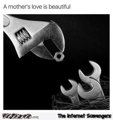 A mother's love is beautiful funny meme @PMSLweb.com