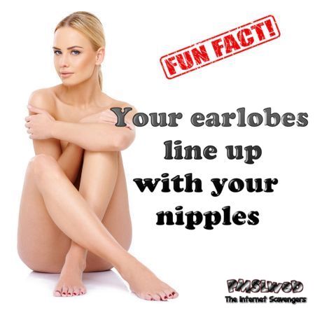 Fun fact your earlobes line up with your nipples - Funny Monday balderdash @PMSLweb.com