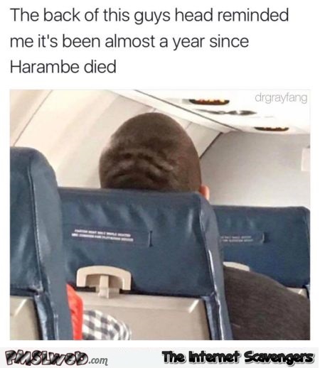 The back of this guy's head reminds me of Harambe funny meme @PMSLweb.com