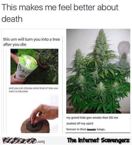 This urn will turn you into weed humor @PMSLweb.com