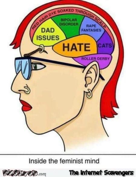 Anatomy of the feminist mind humor - TGIF nonsense collection @PMSLweb.com