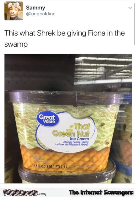What Shrek gives to Fiona in the swamp funny adult meme @PMSLweb.com