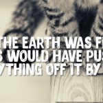 If the earth was flat funny cat quote @PMSLweb.com