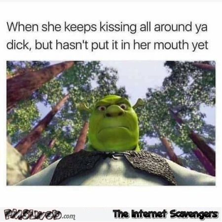 When she keeps kissing around your dick funny adult meme @PMSLweb.com